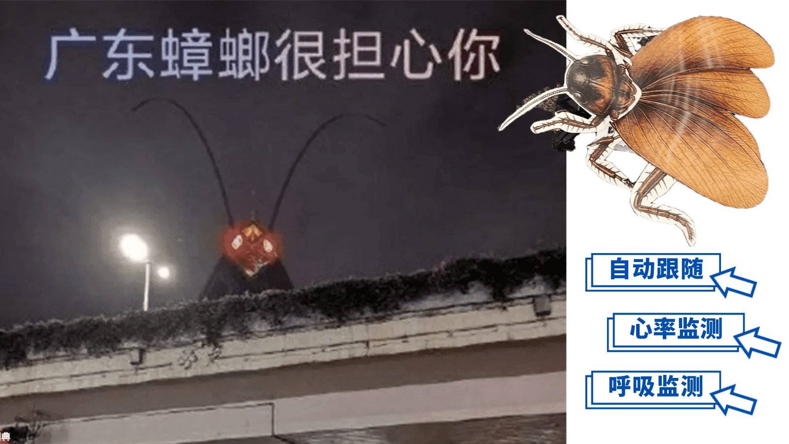 双马尾2.png