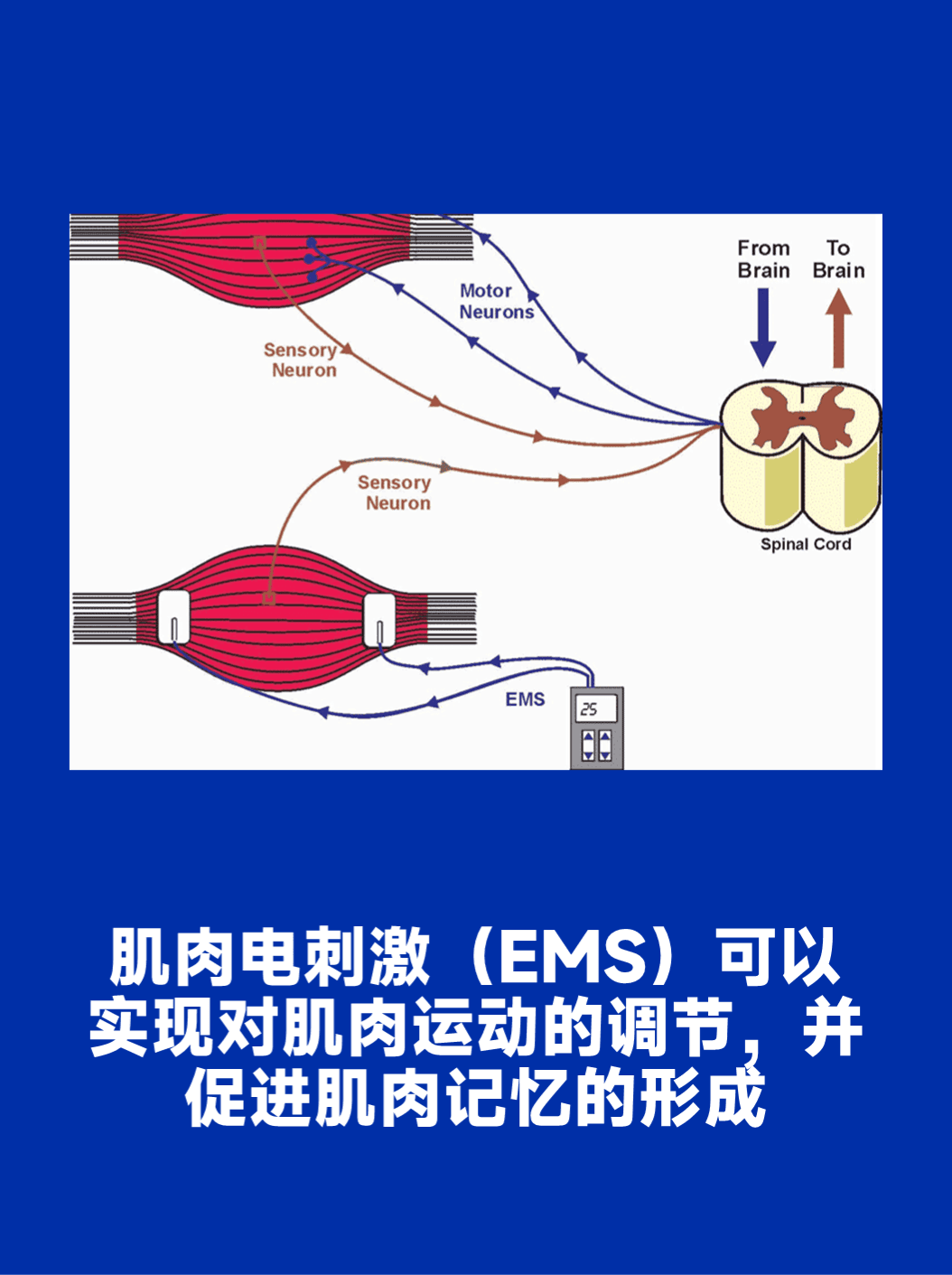 幻灯片3.png